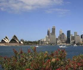 Sydney Diamond Princess Angebot Kreuzfahrtberater
